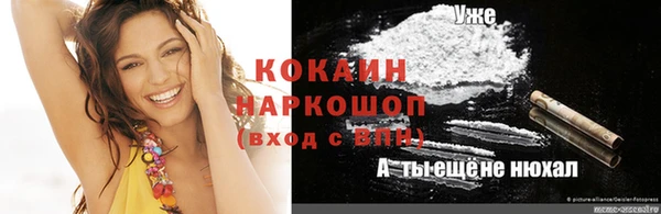 прущие крисы Верея