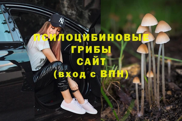 кокаин премиум Верхний Тагил