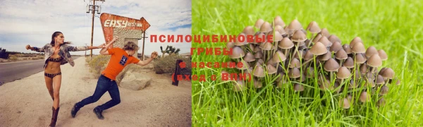 прущие крисы Верея