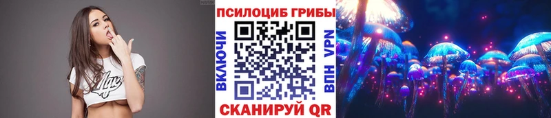 Галлюциногенные грибы Psilocybe  площадка какой сайт  Новотроицк 