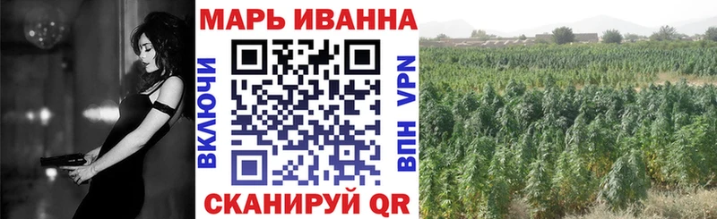 где можно купить наркотик  Новотроицк  Бошки марихуана семена 